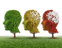 Illustration of head shaped trees losing their leaves.